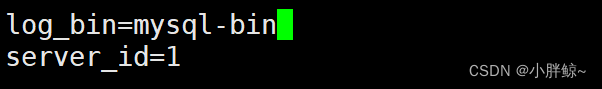 【数据库运维】环境准备，mysql日志管理