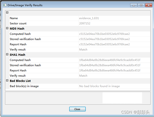 accessdata ftk imager version 4.2.1