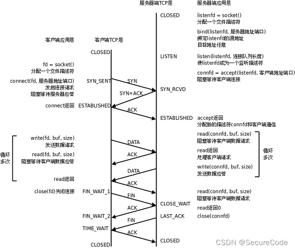 socket API的使用+client/server代码演示+封装socket模块