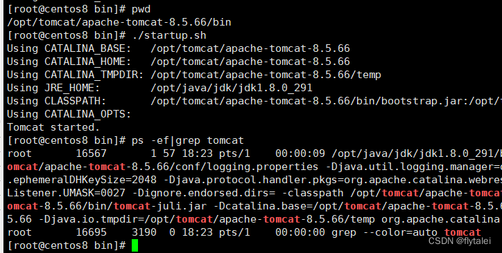 apachecn-sec-zh/docs/hacker-playbook-3/3_the_throw_web_application_exploitation.md  at master · apachecn/apachecn-sec-zh · GitHub