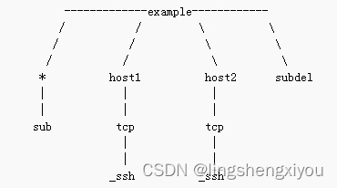 DNS Wildcard（DNS泛域名）