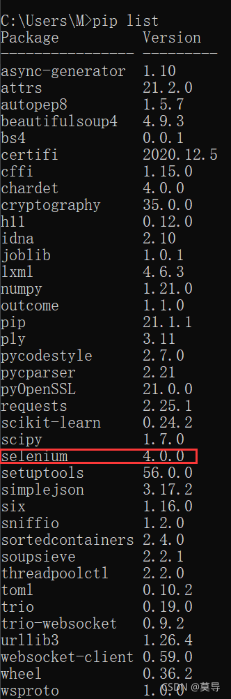 selenium already exists