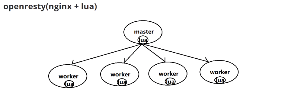 2022年4月8日记:Linux服务器开发,Mark,skynet网络层封装以及lua/c接口编程