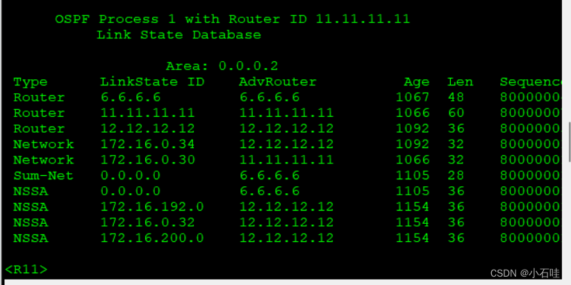 MGER-OSPF的LSA-OSPF的优化 综合实验报告