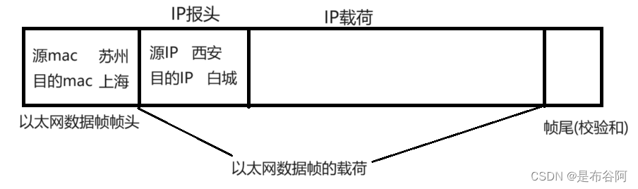 数据链路层--以太网