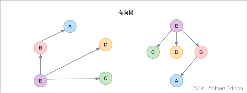 图 —— 基础概念详解