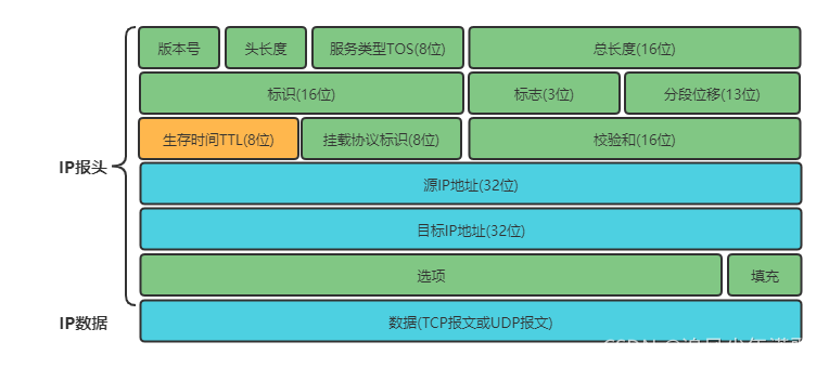 IP报文格式