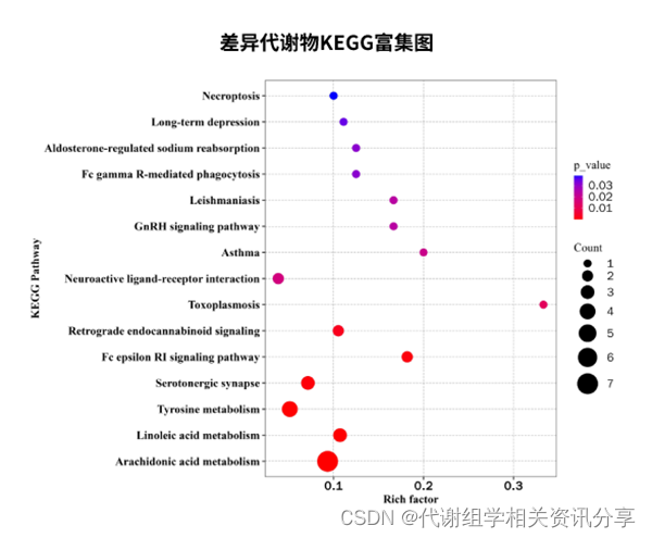 热点新品—类器官代谢组学