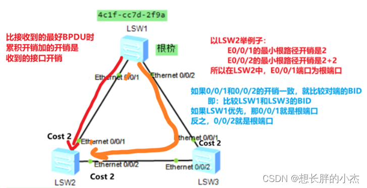 根端口选择