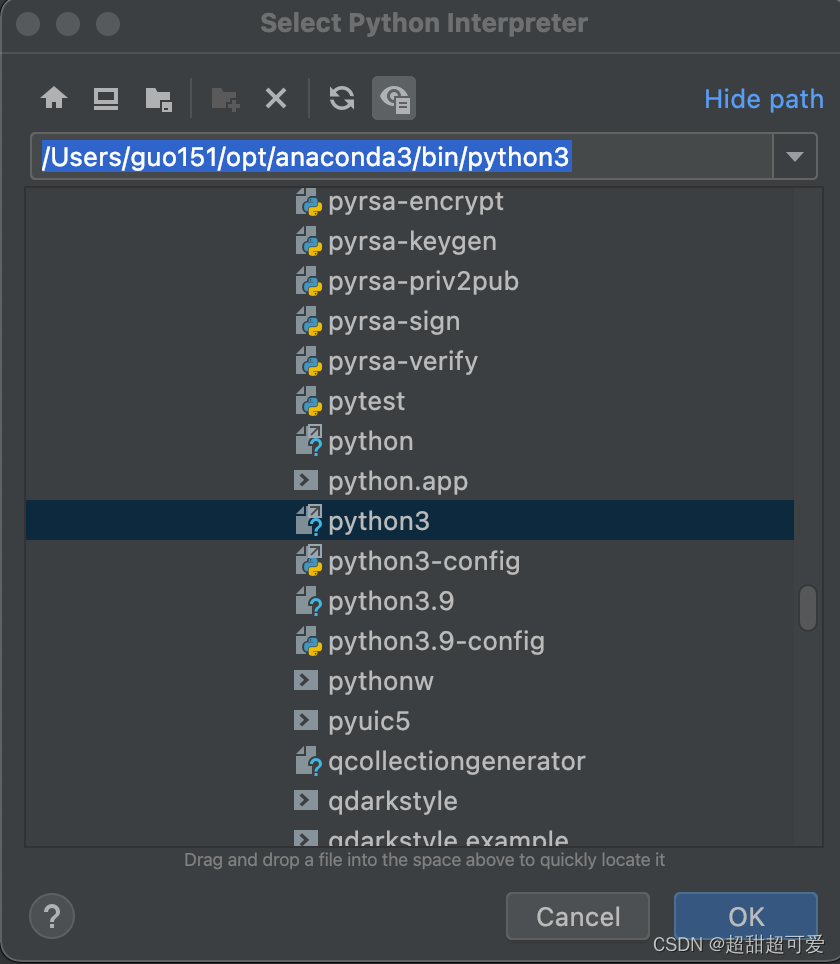 Pycharm 配置 Anaconda 解析器（Mac版）