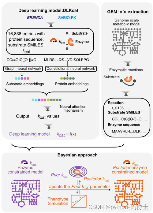 深度学习预测酶活性参数提升酶约束模型构建从头环境搭建 Python 码博士的博客 Csdn博客