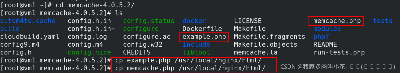 PHP+Nginx服务部署_php+nginx项目部署-CSDN博客