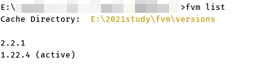 项目根目录下fvm list