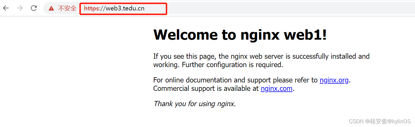 nginx之https加密网站
