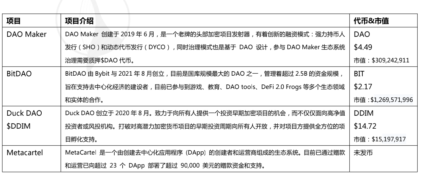 Investment DAOs