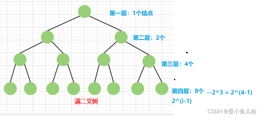 《Java数据结构》这些树和二叉树的性质你还记得吗？
