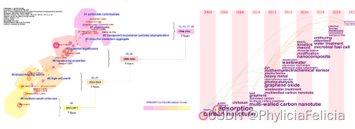 Citespace和vosviewer文献计量学可视化SCI论文高效写作方法