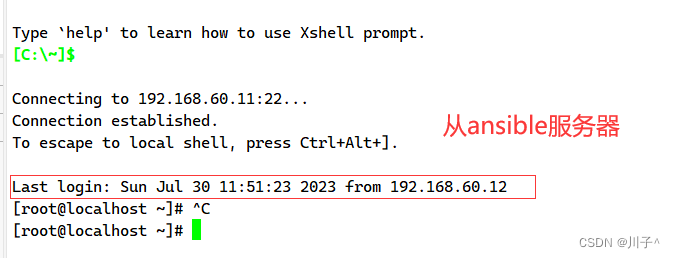 ansible-playbook