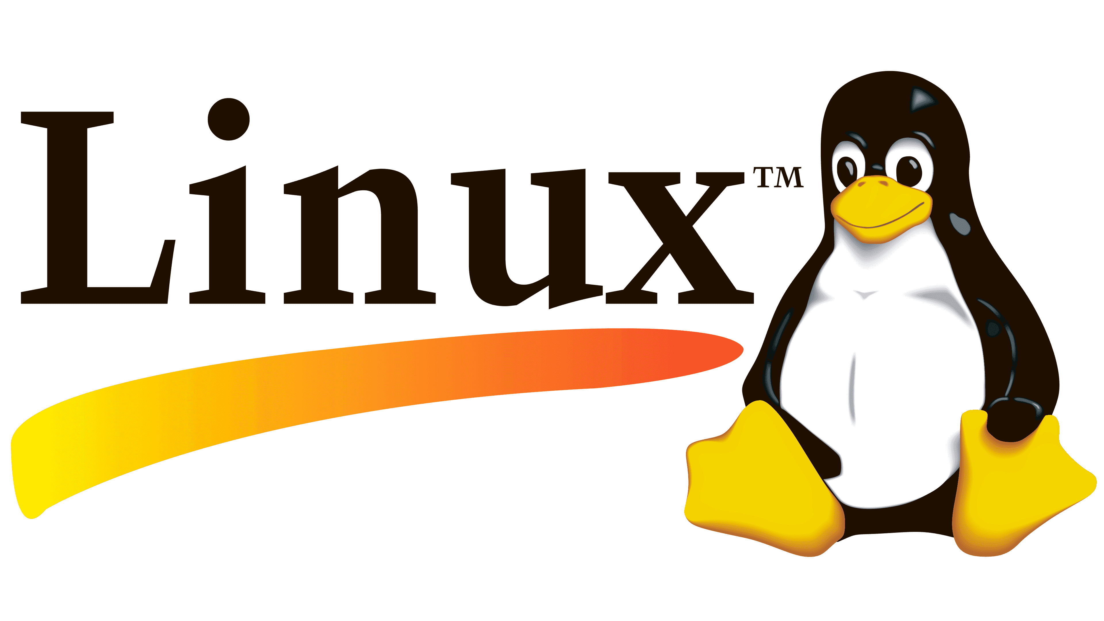 Linux文件目录结构_文件管理