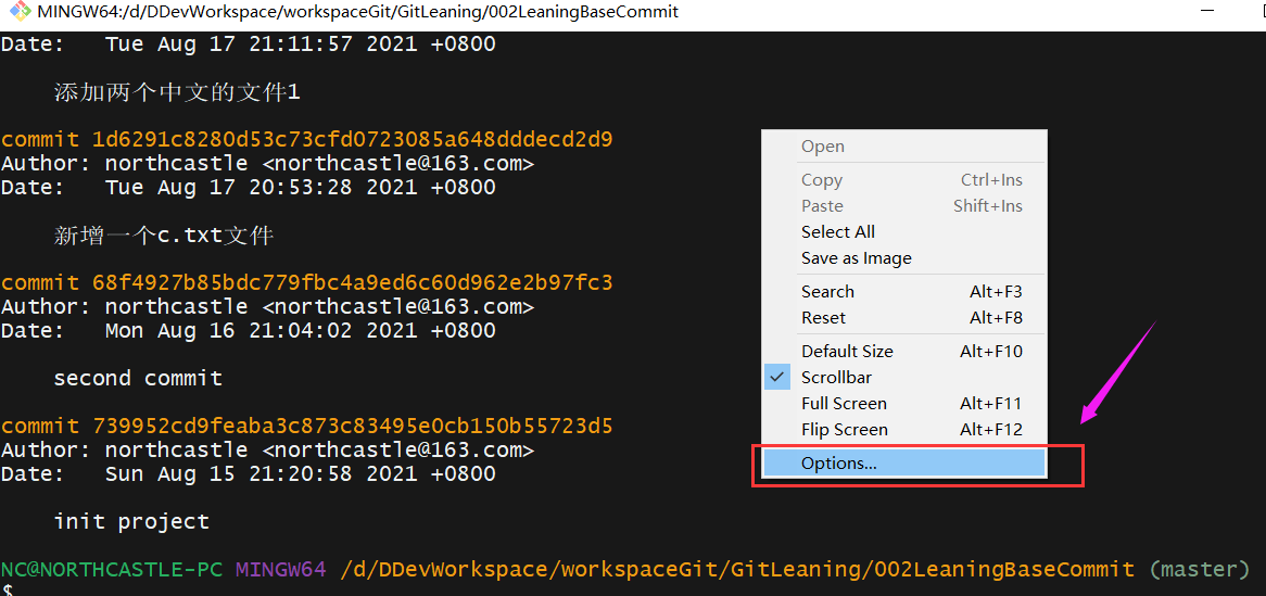 Git基础 Windows下的git Bash 中文乱码解决 Git Status Northcastle的博客 Csdn博客