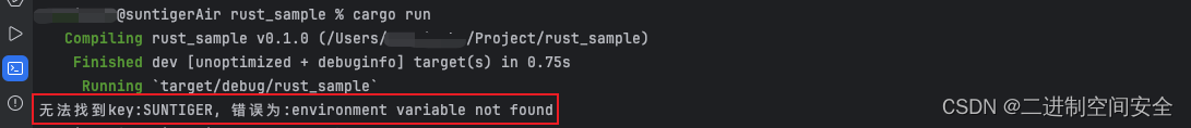 在Rust中处理命令行参数和环境变量