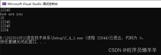 C语言 字符串-字符串的复制