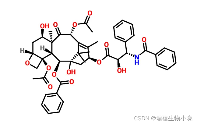 D0x-17(anti—Sp17)-3C12/TPGS抗精子蛋白单克隆抗体/维生素E聚乙二醇琥珀酸酯偶联阿霉素研究