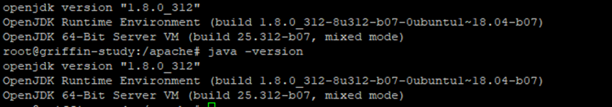 java版本信息打印