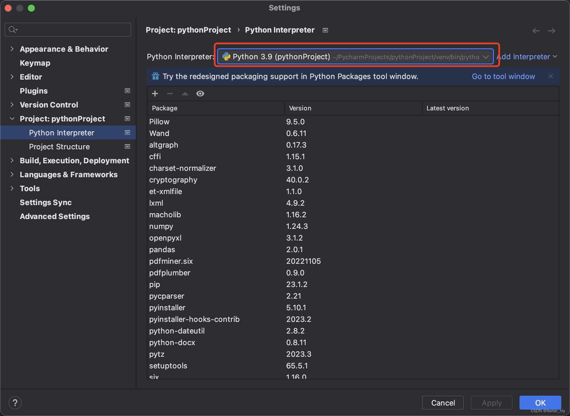 python interpreter settings