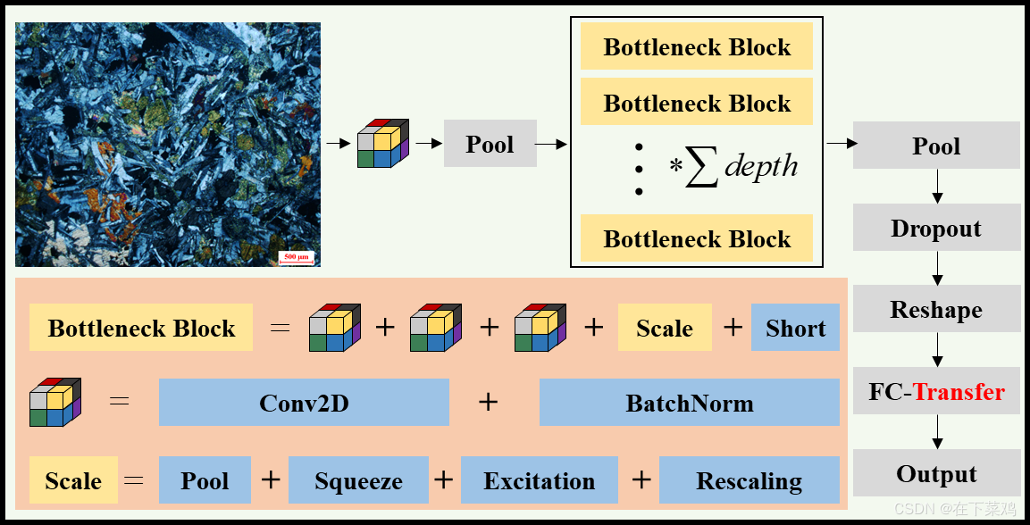 Fig. 1 The network structure of modified MaSE-ResNeXt with Transfer