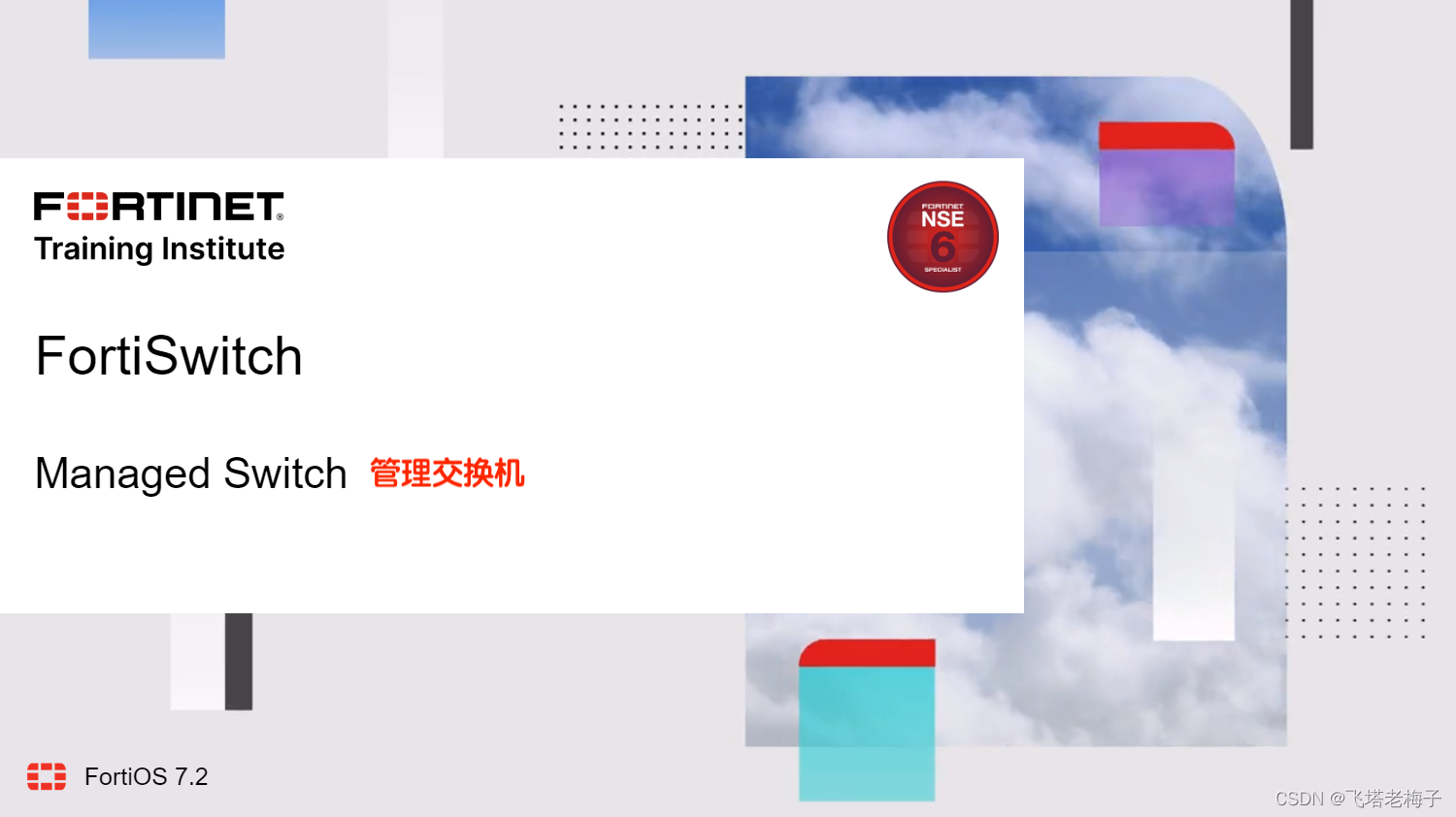 NSE6_FNC-7.2受験練習参考書