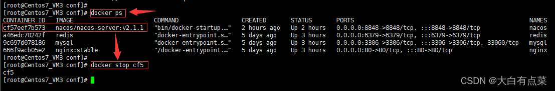 docker stop cf5 先停止 Nacos Server 容器