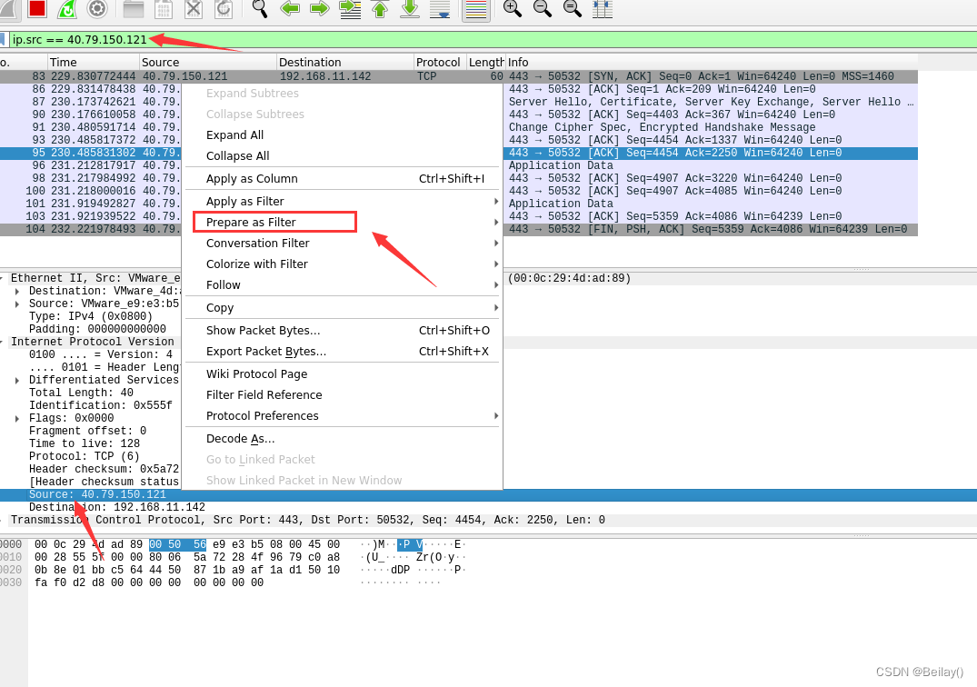 21_ncwireshark