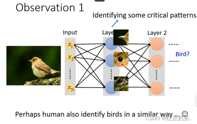 机器学习-CNN_100*9的数据用什么网络学习-CSDN博客