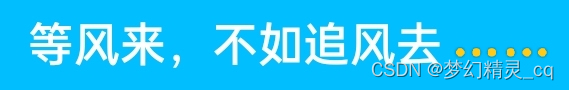 我的座右铭图片，上书中文“等风来，不如追风去……”