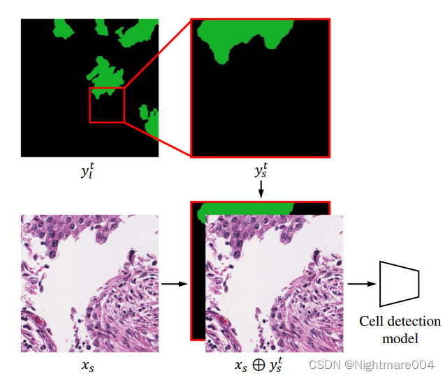 OCELOT: Overlapped Cell on Tissue Dataset for Histopathology