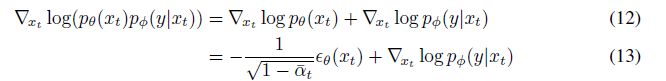 加入分类信息后的  score function