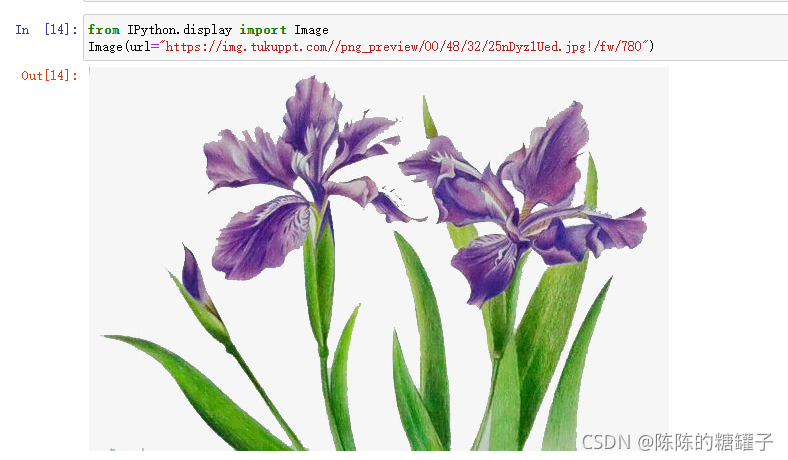 在这里插入图片描述