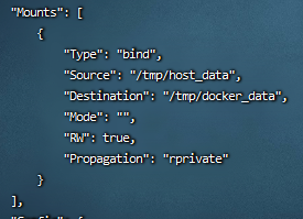 查看容器挂载信息