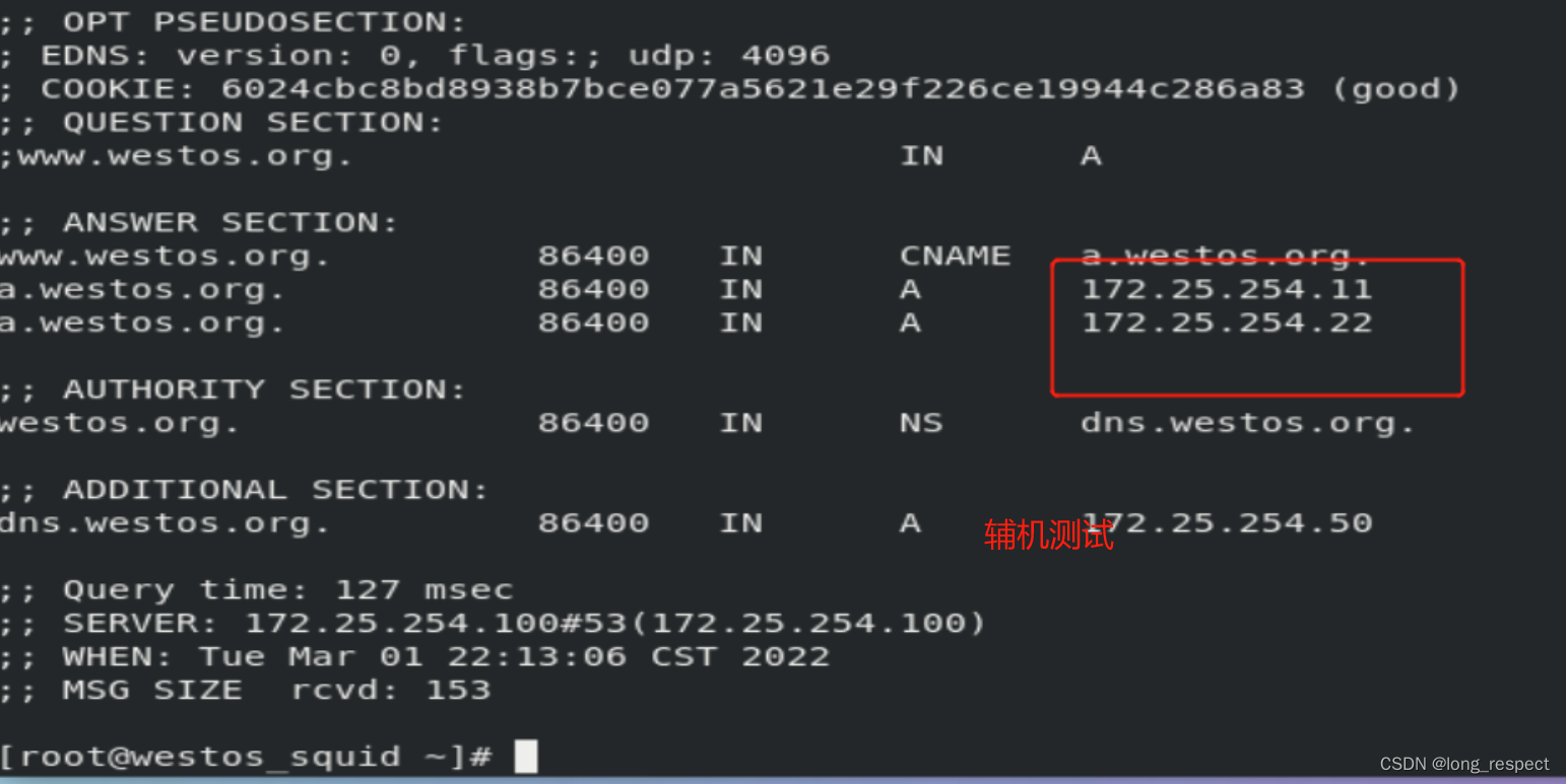 网络的地址簿：Linux DNS服务的全面指南