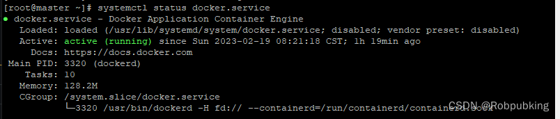 启动 docker 服务