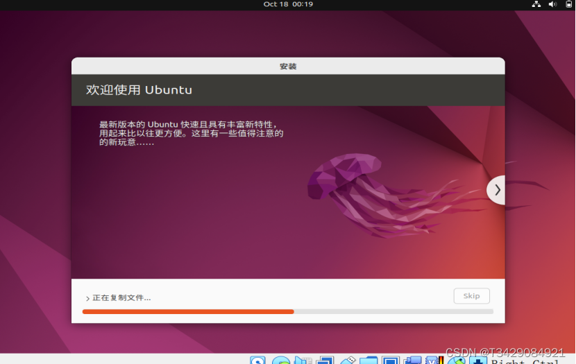 新版virtuBox7.00安装ubuntu24.1系统教程（安装增强功能） (https://mushiming.com/)  第12张