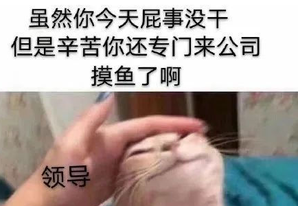 这些提高摸鱼效率的自动化测试技巧，提高打工人幸福感~