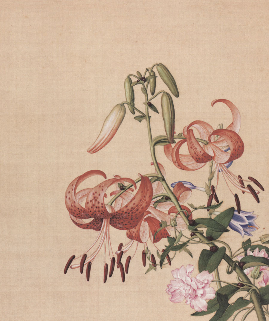 名画332 郎世宁《花鸟图册十六开》_书剑飘〇的博客-csdn博客