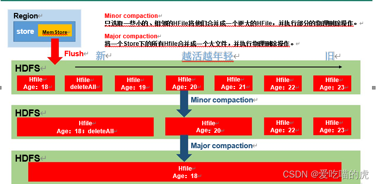 HBase总结_hbase 查看master-CSDN博客