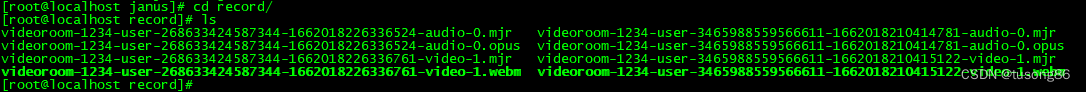 janus videoroom之媒体录制