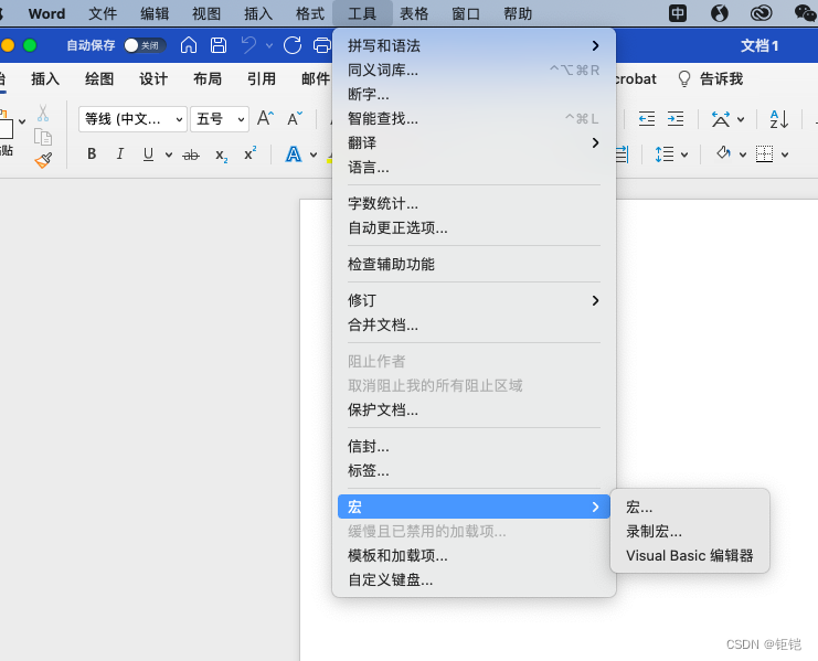 Microsoft Office如何打开Visual Basic编辑器(macOS)_进入visual basic 界面-CSDN博客