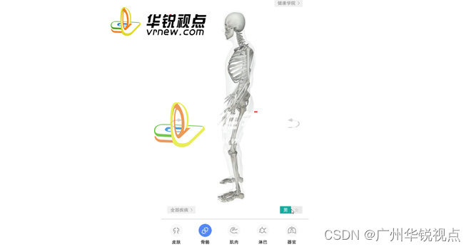 【广州华锐互动】人体血管器官3D动态展示为医学生提供哪些便利？