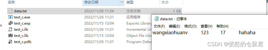 什么是文件操作？为什么要有文件操作？