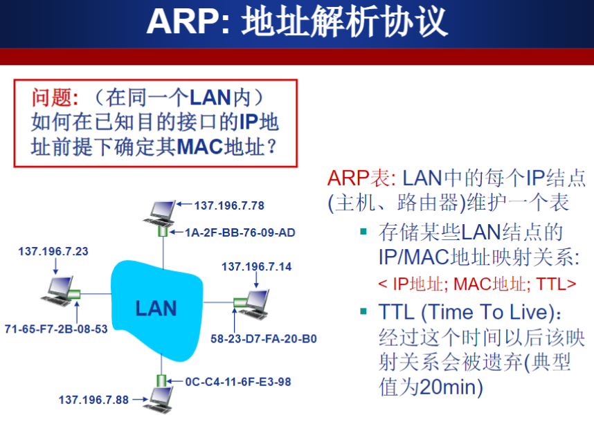 ARP1